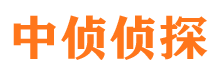 大姚外遇调查取证